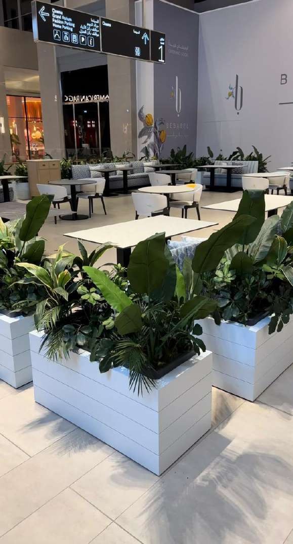 Restaurants project 11